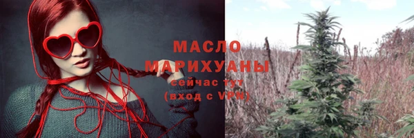 гидра Новодвинск