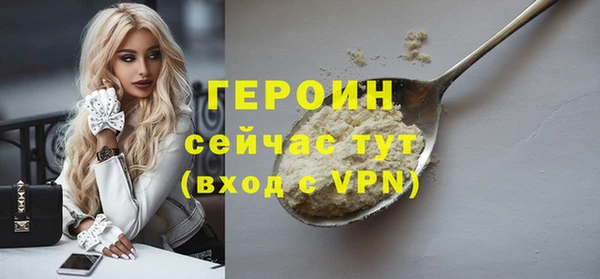 гидра Новодвинск