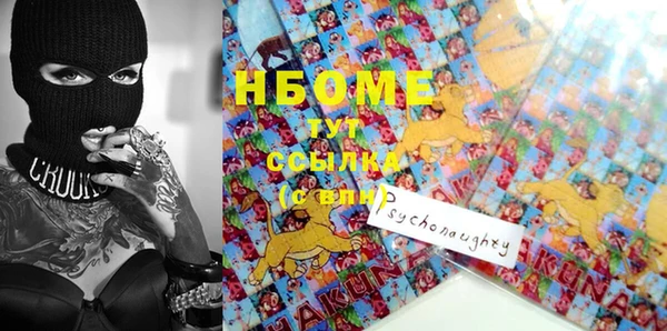 гидра Новодвинск