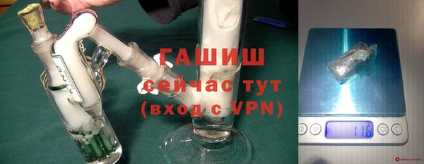 гидра Новодвинск
