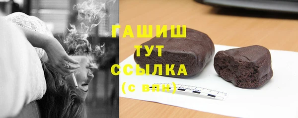 гидра Новодвинск