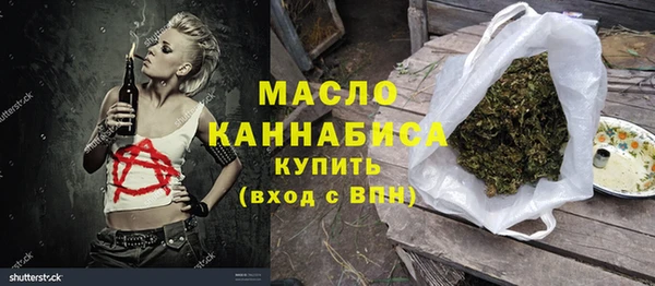 гидра Новодвинск