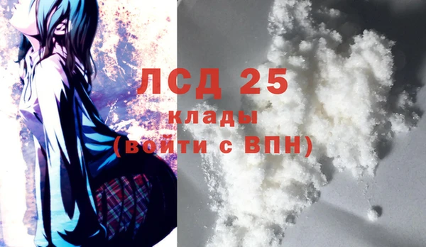 гидра Новодвинск