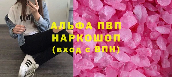 амф Новокубанск