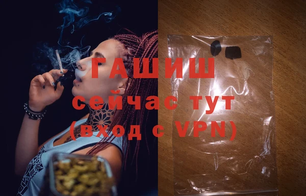 амф Новокубанск