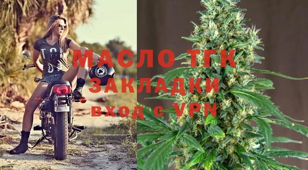 гидра Новодвинск